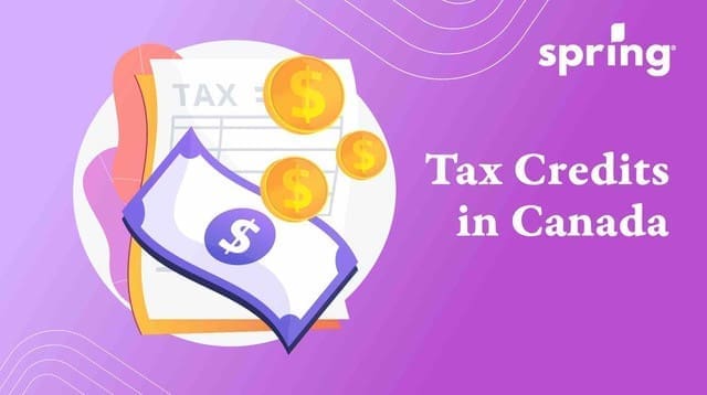 Carbon tax rebate and credits